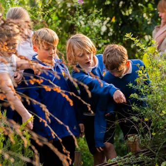 Group of school children wearing blue uniform in Med Biome
